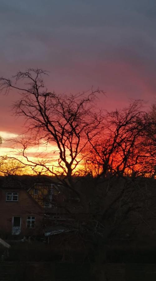Appartamento Roz Hus Neksø Esterno foto